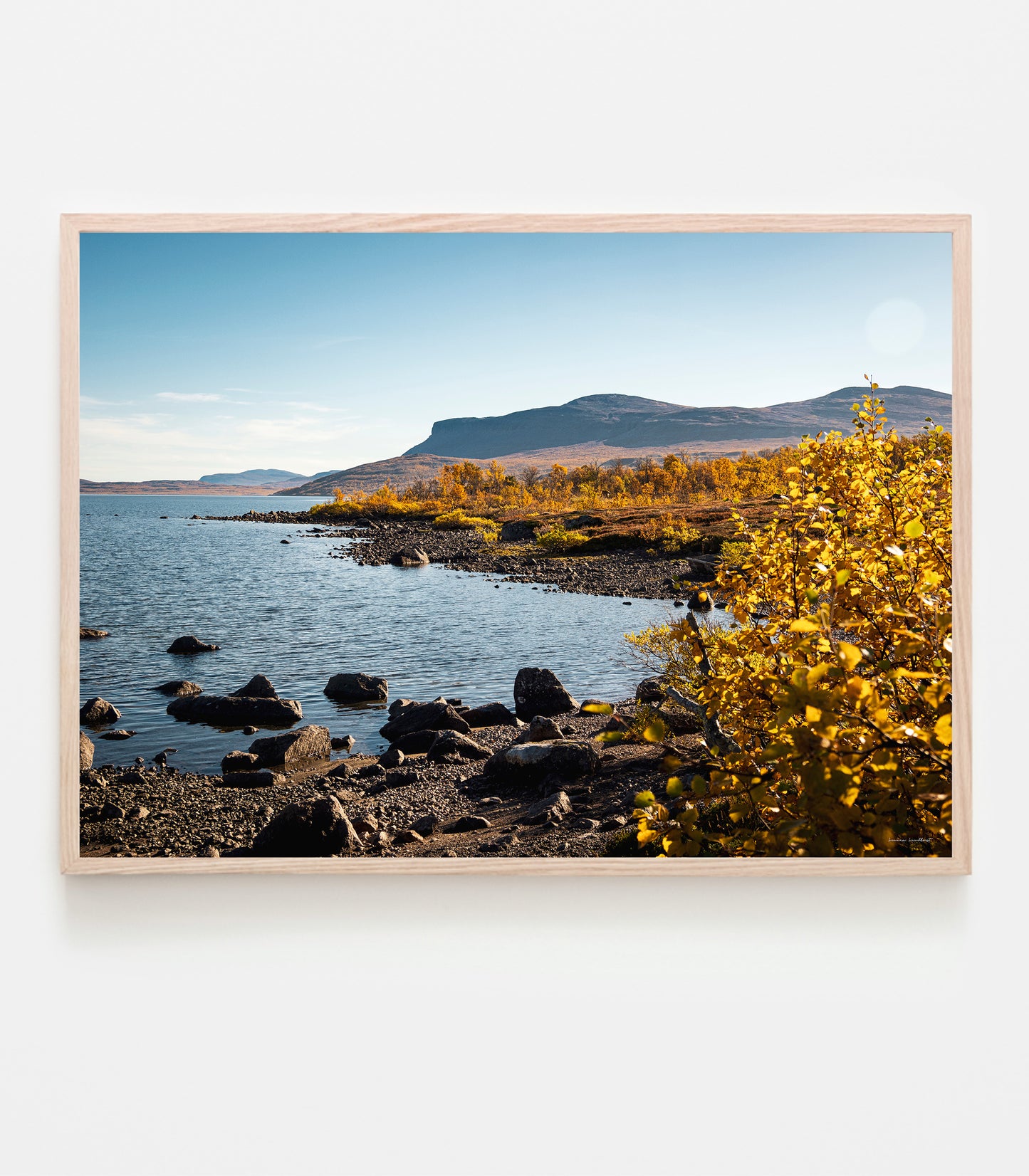 Höstglöd vid Torneträs, Kaisepakte art print av fotograf Linnea Lundkvist 2025.