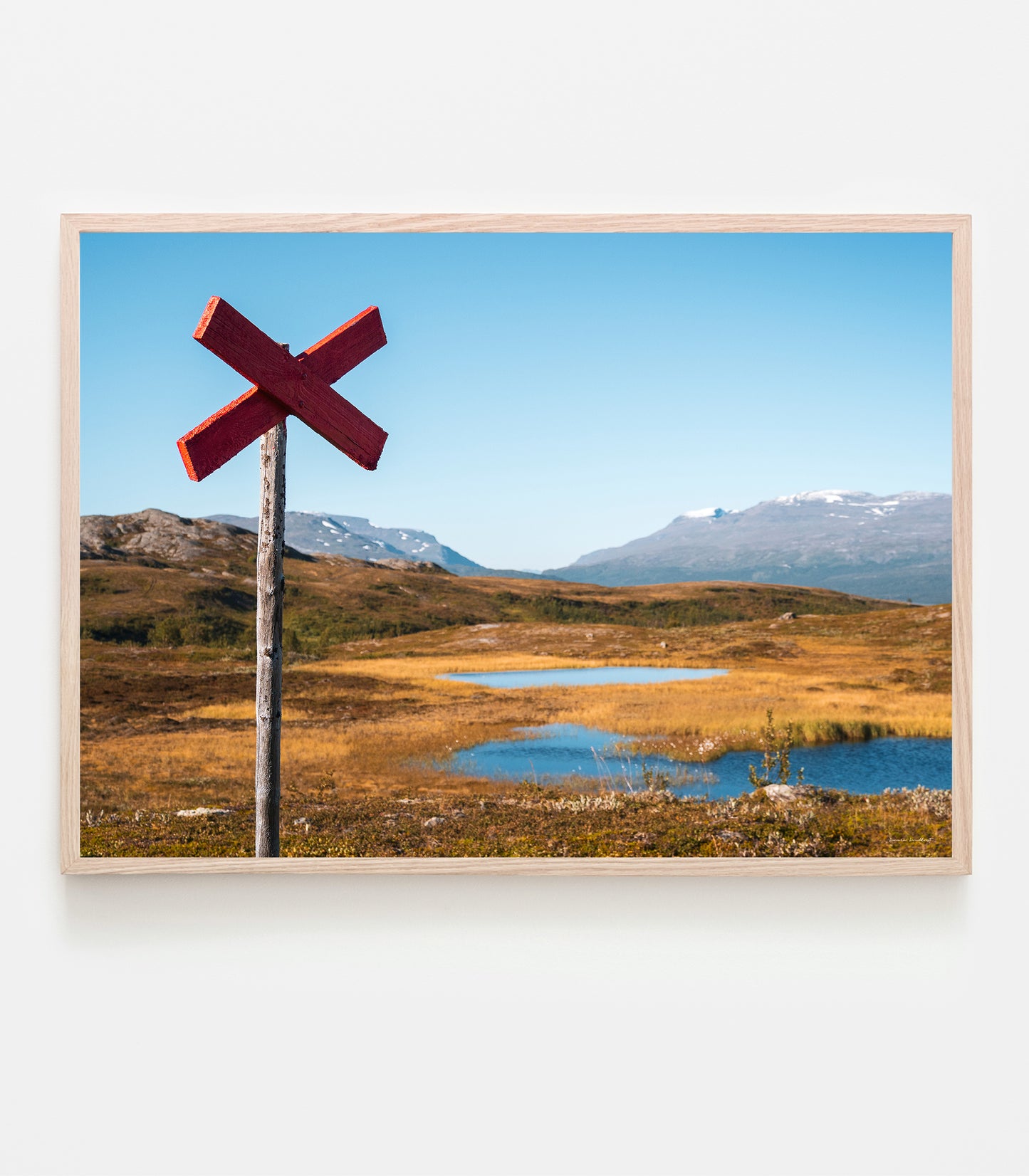 Ledkryss i Björkliden, hösten 2025. Art print av fotograf Linnea Lundkvist.