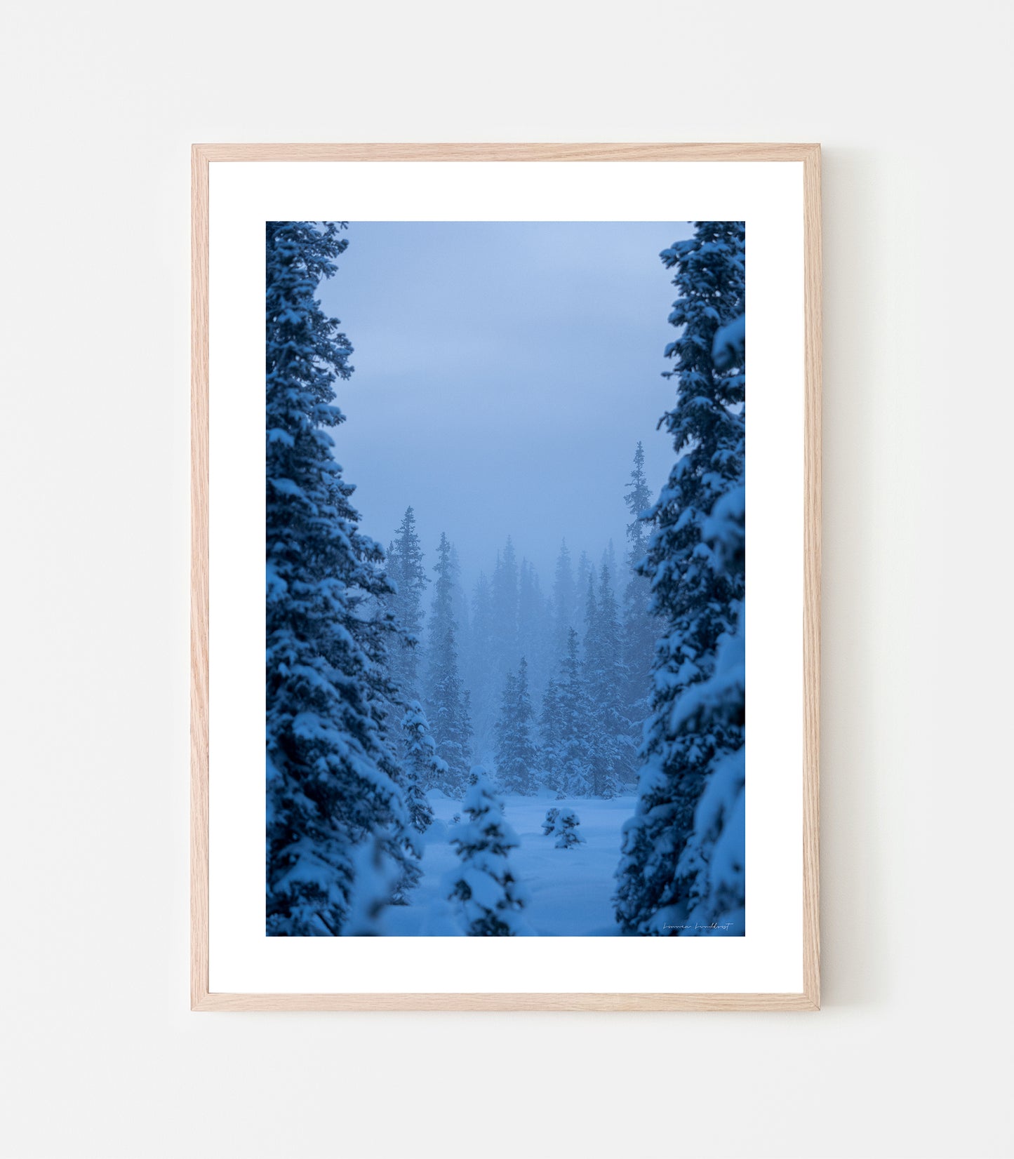 Skogsdimma vinter är fotograferat den 25 december 2023 utanför Jukkasjärvi av fotograf Linnea Lundkvist.