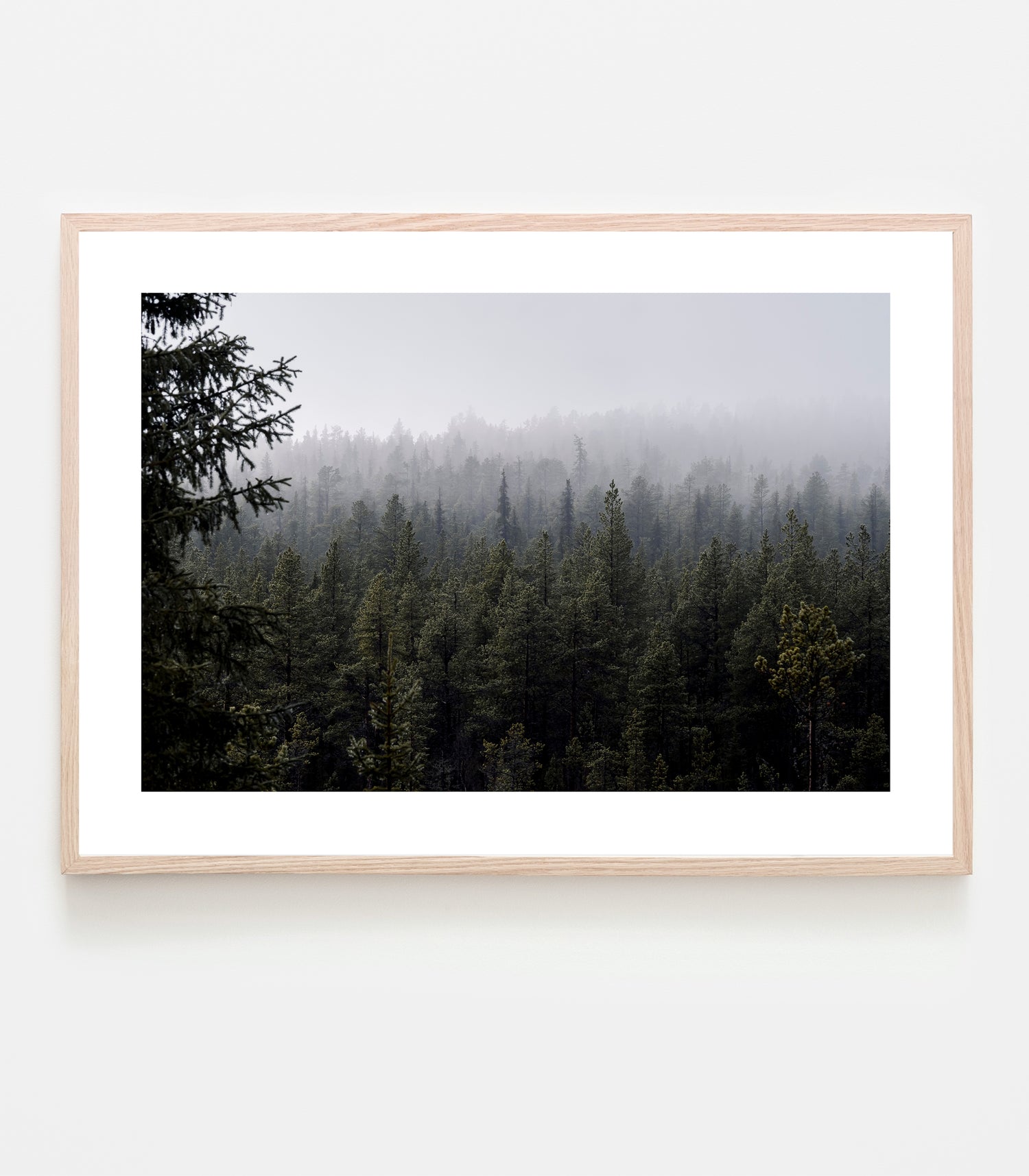 Det är alldeles tyst i skogen när dimman sveper fram. Art print av Linnea Lundkvist.
