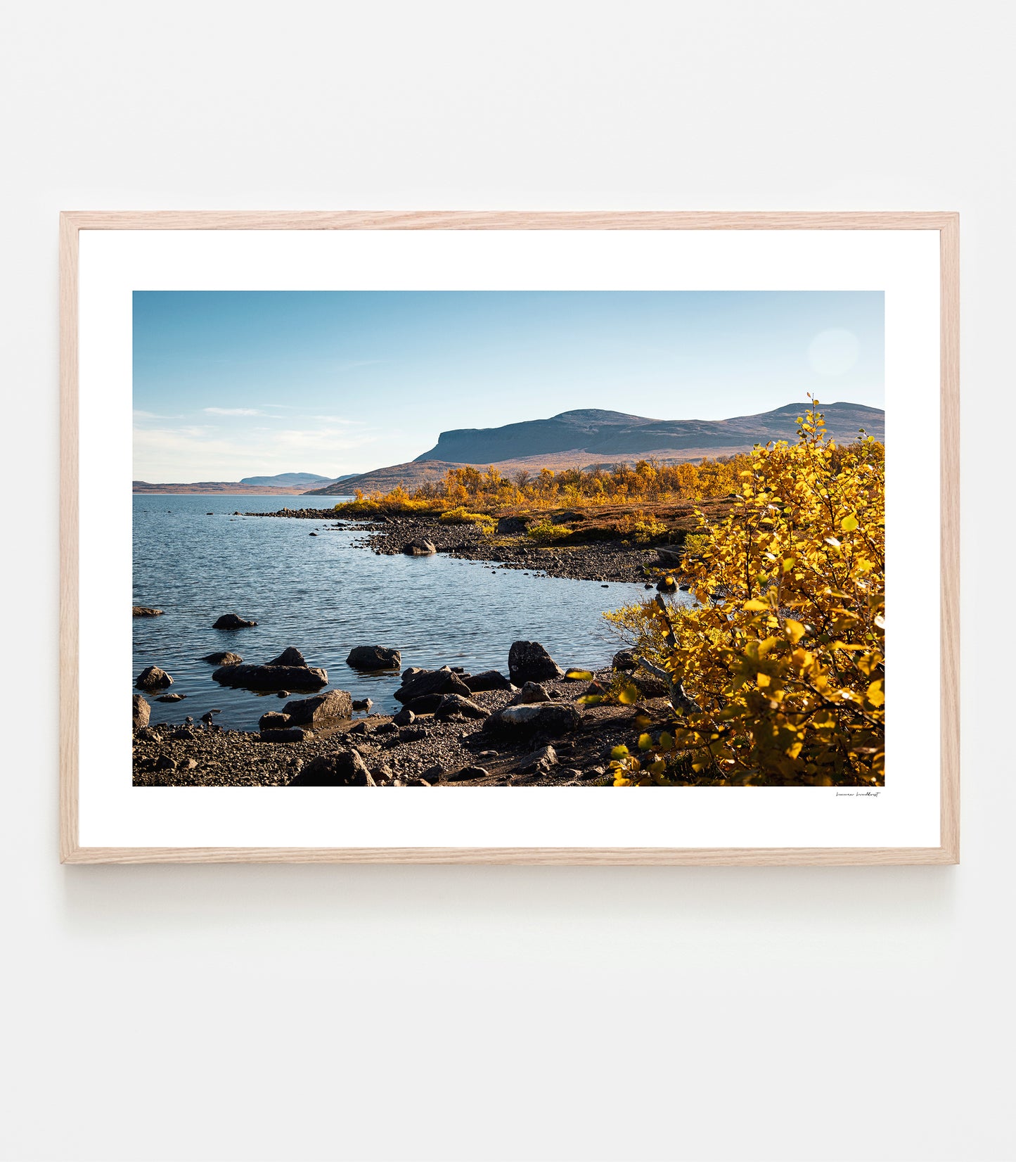 Höstglöd vid Torneträs, Kaisepakte art print av fotograf Linnea Lundkvist 2025.