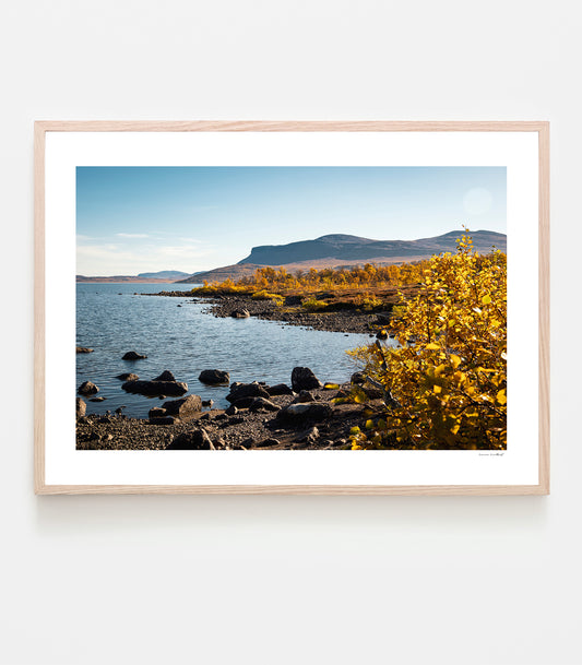Höstglöd vid Torneträs, Kaisepakte art print av fotograf Linnea Lundkvist 2025.