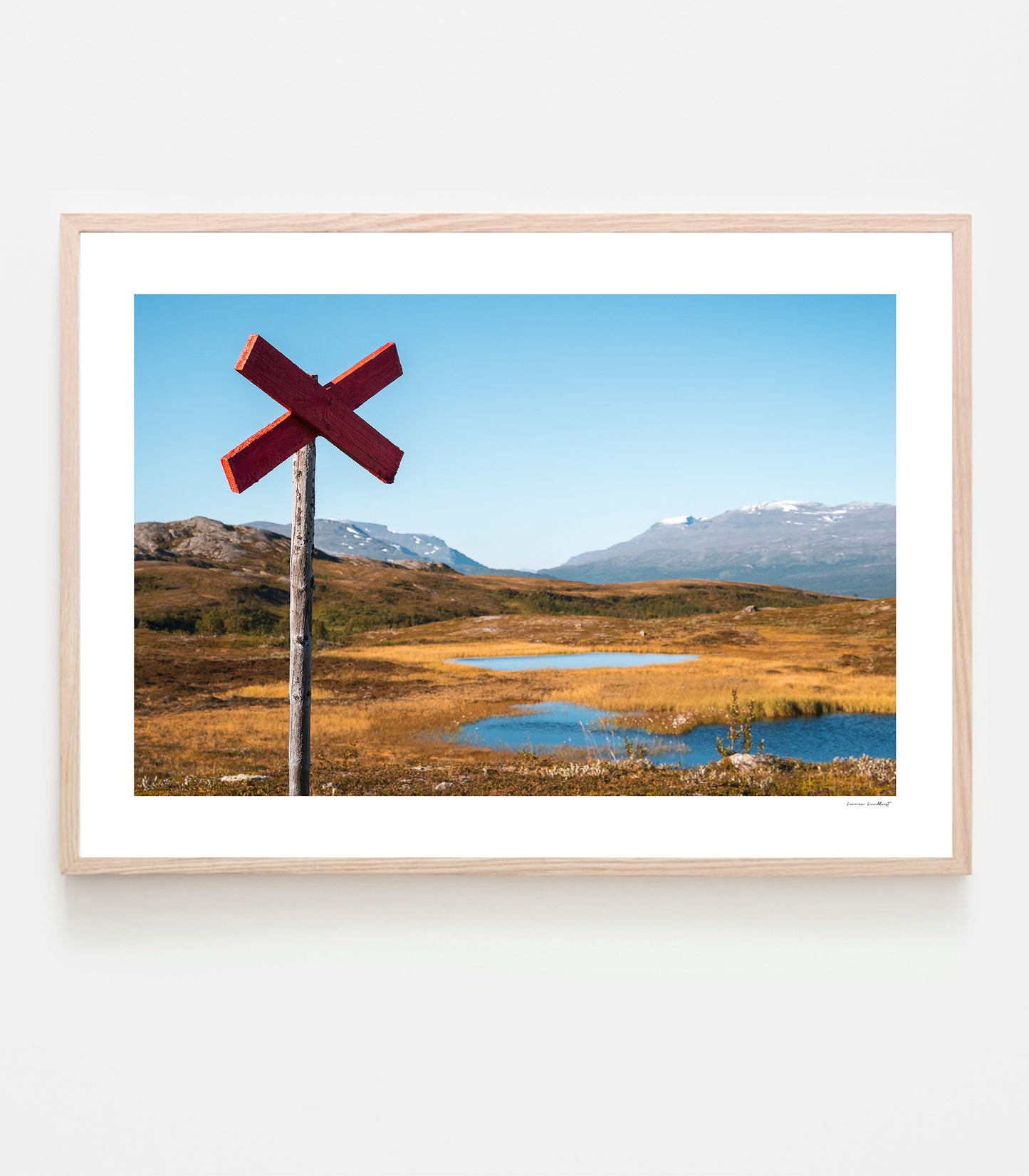 Ledkryss i Björkliden, hösten 2025. Art print av fotograf Linnea Lundkvist.