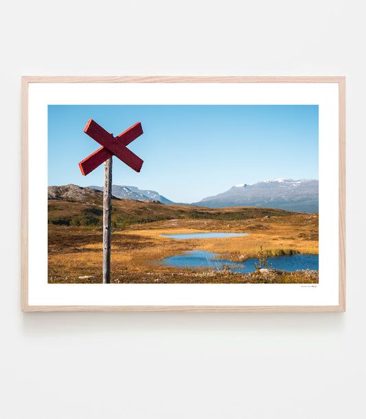 Ledkryss i Björkliden, hösten 2025. Art print av fotograf Linnea Lundkvist.