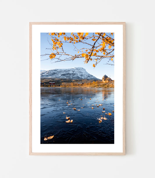 Vassijaure station. Islagd sjö med höstlöv som fallit på isen. Fine art print.