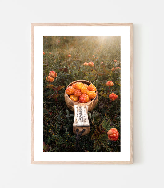 Den gyllene tiden på året, tiden då hjortronen har börjat mogna och man kan knata ut på myrarna och fylla hinken med bär. Hjortonkåsan print.