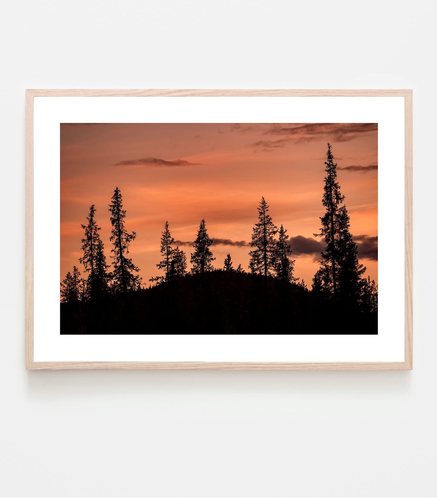 Solnedgång i skogen. Granar på rad, berg i bakgrunden och en färgstark solnedgång. Fine art print.