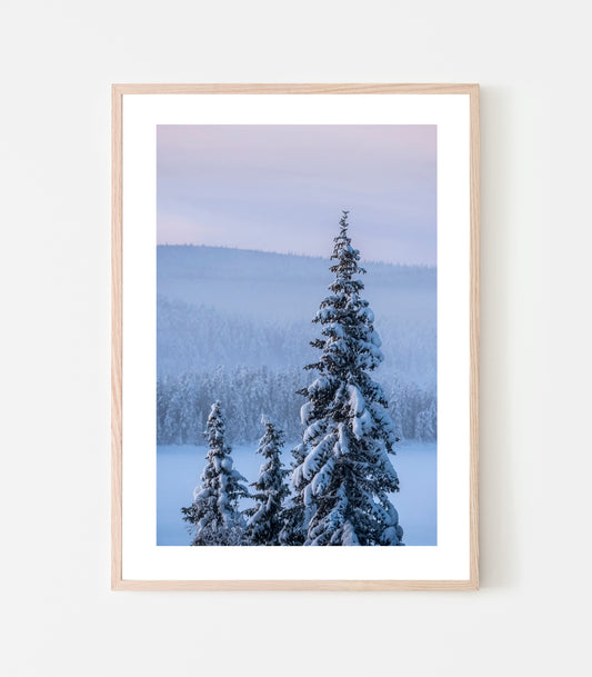Skogen är så snötyngd och fin, kall dimma svävar över grantopparna på andra sidan Torneälven i Jukkasjärvi. Art print av Linnea Lundkvist.