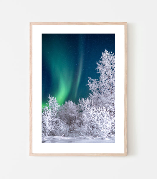 En frostig decemberkväll, norrskenet dansade och temperaturen var kall. Print av Linnea Lundkvist.